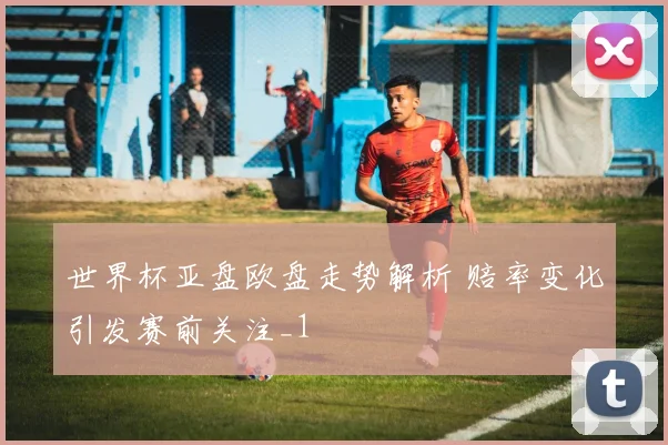 世界杯亚盘欧盘走势解析 赔率变化引发赛前关注_1