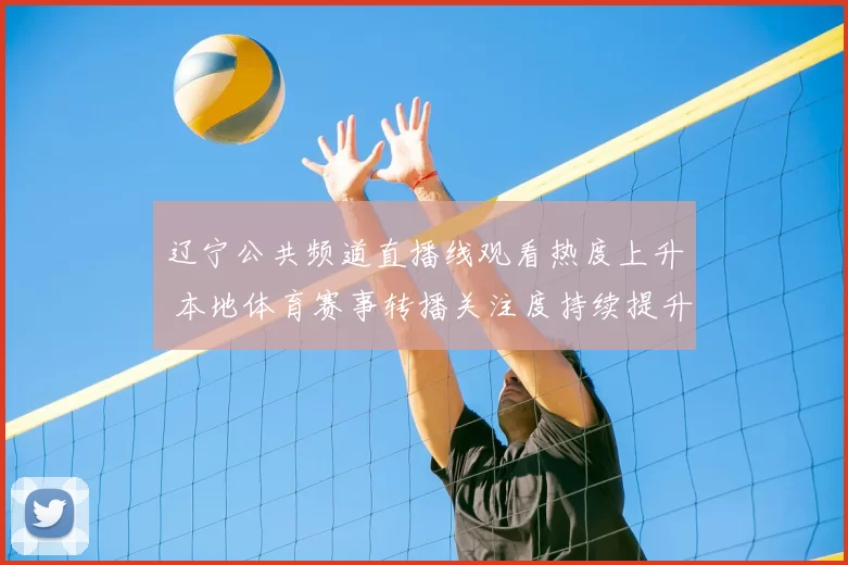 辽宁公共频道直播线观看热度上升 本地体育赛事转播关注度持续提升