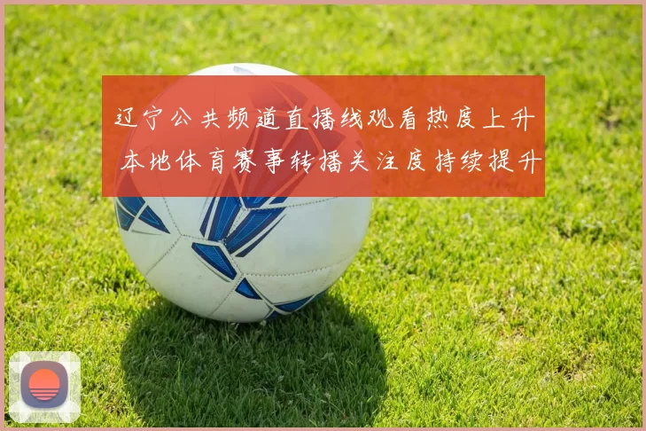 辽宁公共频道直播线观看热度上升 本地体育赛事转播关注度持续提升