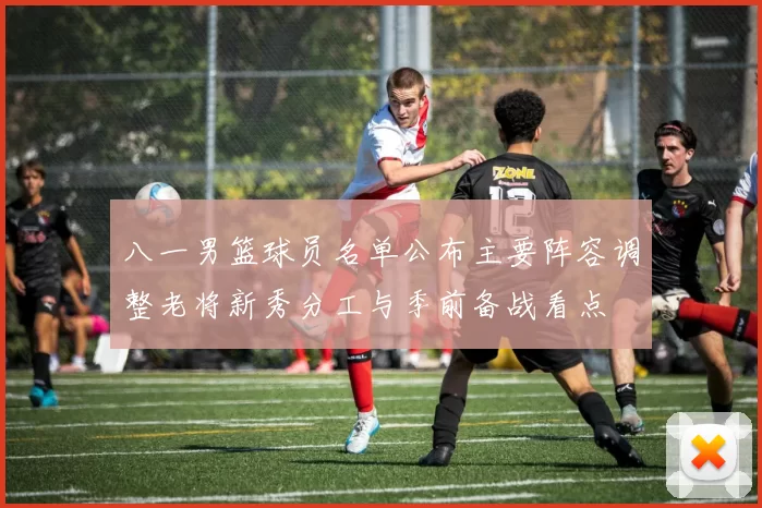 八一男篮球员名单公布主要阵容调整老将新秀分工与季前备战看点